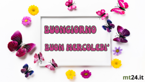 Buongiorno! Che il tuo mercoledì sia leggero come una farfalla e colorato come un campo di fiori.