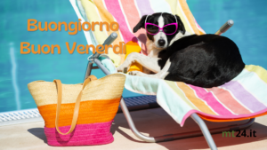 Buongiorno e buon mercoledì! 🐶🌞 'Pensavi di lasciarmi a casa? Niente da fare, sono qui con te al mare!'" 🌊