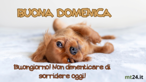 Buongiorno e Buona Domenica: Non dimenticare di sorridere oggi