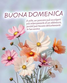 Buona Domenica 22 Settembre