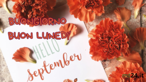 Fiori di settembre che sbocciano al mattino, portando un messaggio di buongiorno e bellezza naturale.