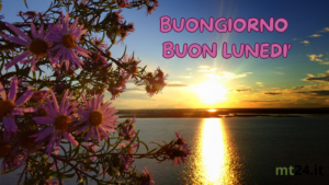 Alba di settembre con luce dorata, simbolo di nuovi inizi e serenità.