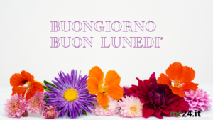 Un lunedì di settembre illuminato da colori e fiori, accompagnato da sorrisi per iniziare la settimana con gioia.