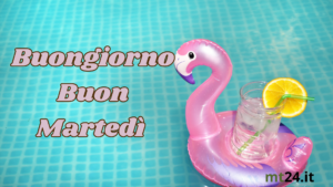 🏊‍♀️ Buon martedì! Un ultimo tuffo in piscina per iniziare la giornata col piede giusto. Buongiorno! 🌞