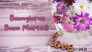 🌺 Martedì profumato! Inizia la giornata circondato da fiori e buonumore. Buongiorno! 🌼🌞