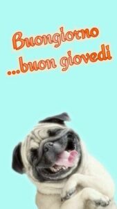 Frasi buongiorno giovedì 3 ottobre