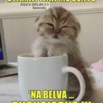 buongiorno e buon venerdì