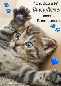 buongiorno WhatsApp
