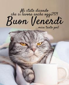 immagini divertenti buongiorno whatsapp