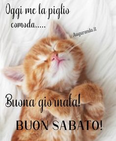 immagini divertenti buongiorno
