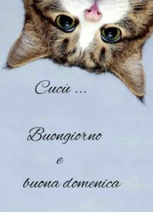 Buongiorno Buona Domenica