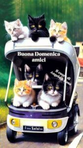 Buongiorno Buona Domenica
