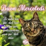 Buongiorno e Buon Mercoledì