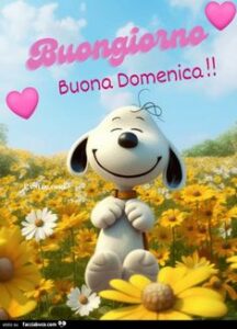 immagini buongiorno