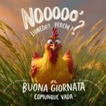 Buongiorno e Buon Lunedì