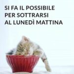 Buongiorno e Buon Lunedì