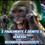 buongiorno e buon venerdì