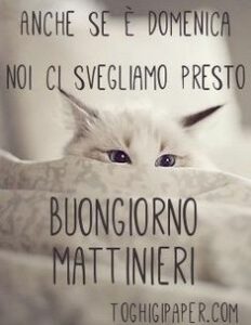 Buongiorno Buona Domenica