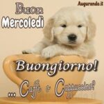 buongiorno
