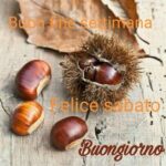 immagini divertenti buongiorno