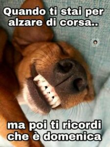 immagini buongiorno