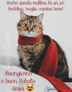 buongiorno e buon sabato