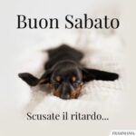 immagini divertenti buongiorno