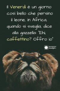 immagini divertenti buongiorno whatsapp