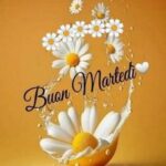 Buongiorno e Buon Martedì