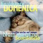 immagini buongiorno