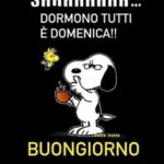 immagini buona domenica