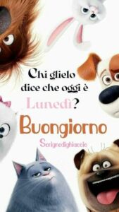 buongiorno WhatsApp