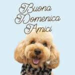 immagini buona domenica