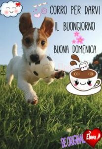 immagini buongiorno