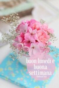buongiorno WhatsApp