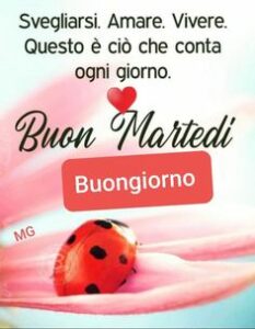 Buongiorno e Buon Martedì