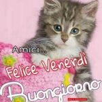 immagini divertenti buongiorno whatsapp