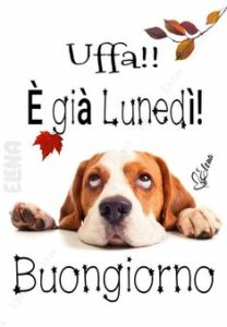 buongiorno WhatsApp