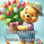 immagini buongiorno