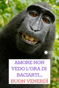immagini divertenti buongiorno whatsapp