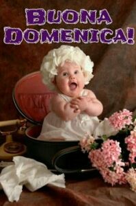 immagini buona domenica