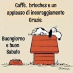 immagini divertenti buongiorno