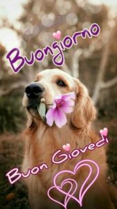Frasi buongiorno giovedì 3 ottobre