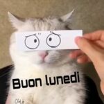 Buongiorno e Buon Lunedì