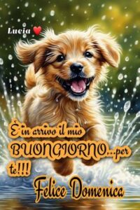 immagini buongiorno