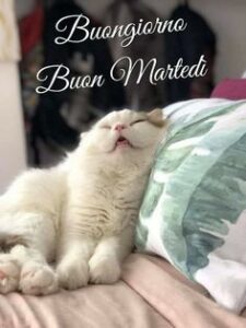Buongiorno e Buon Martedì