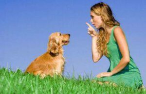 LINGUAGGIO DEL CANE