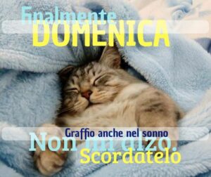 immagini buona domenica