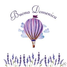 Buona Domenica!