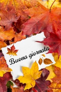 buongiorno